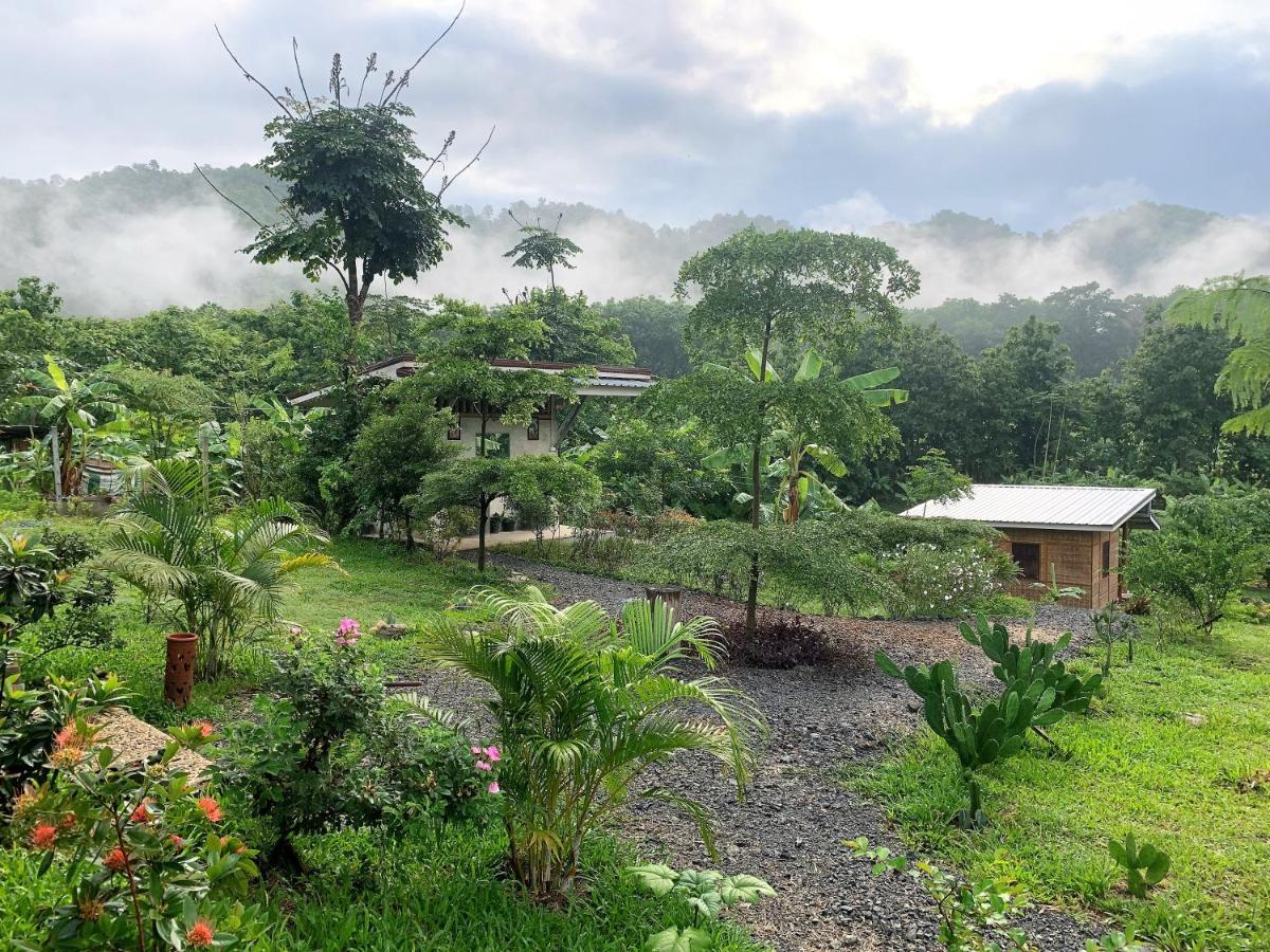True Nature Chiang Mai - Yoga & Meditation Homestay Retreat Eksteriør billede