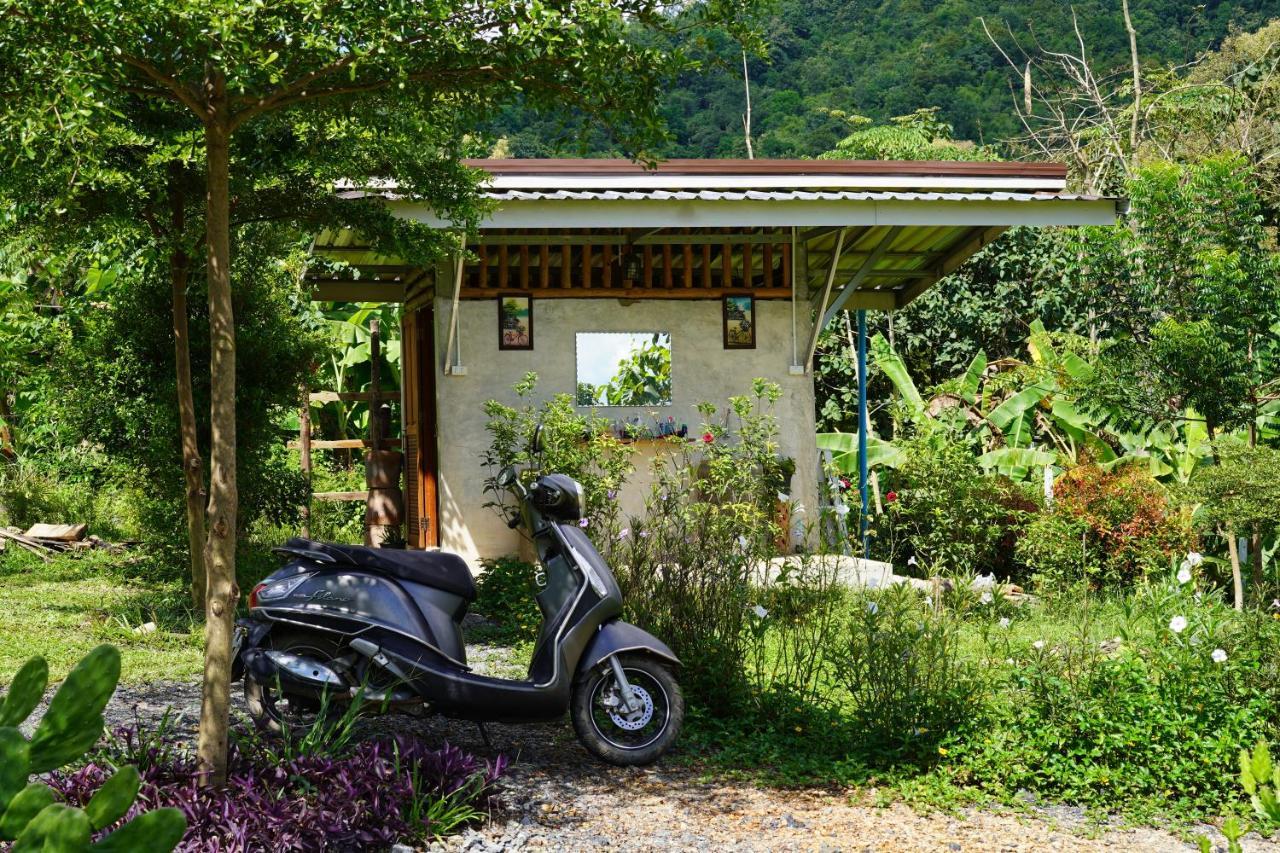 True Nature Chiang Mai - Yoga & Meditation Homestay Retreat Eksteriør billede