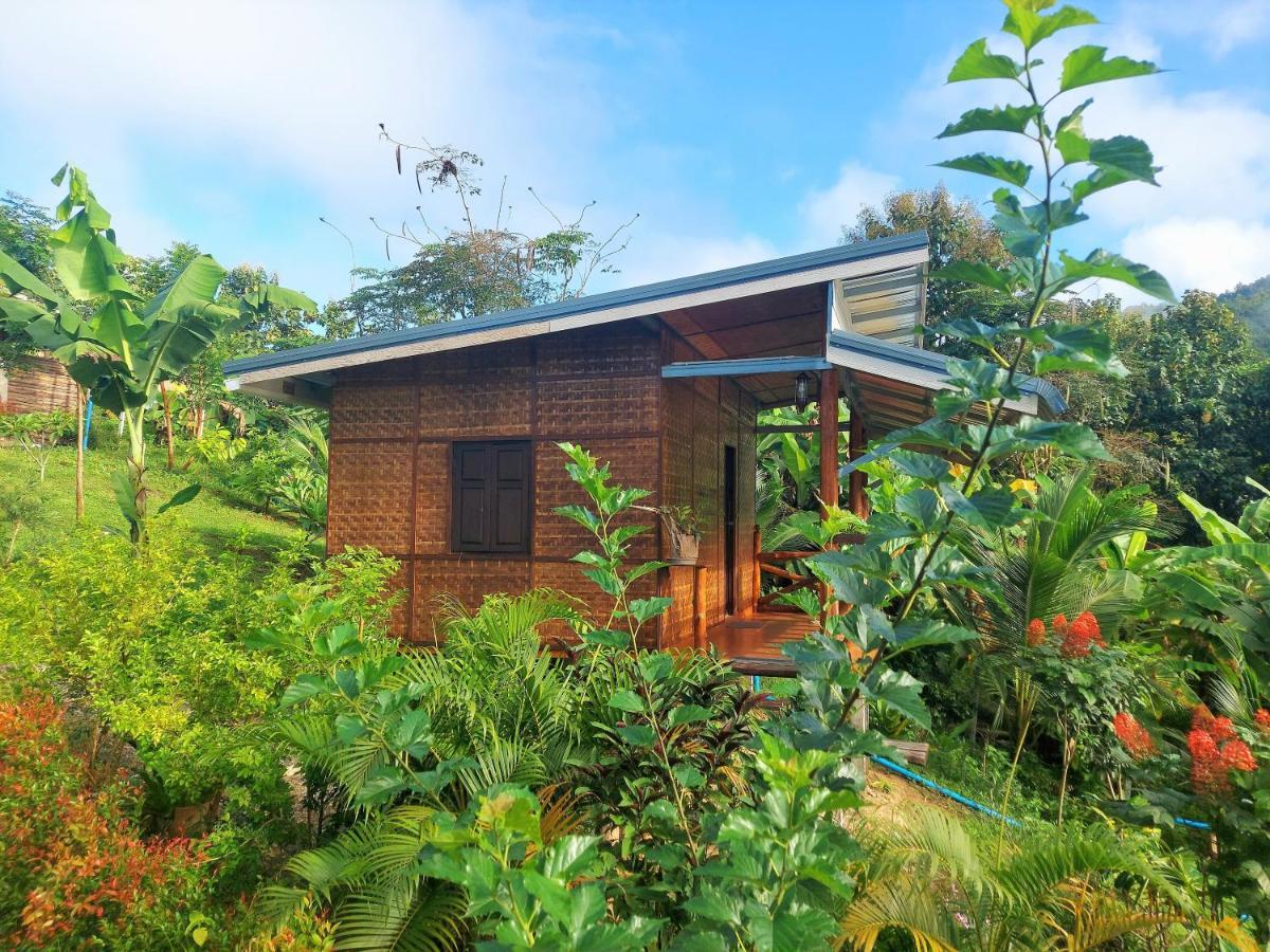 True Nature Chiang Mai - Yoga & Meditation Homestay Retreat Eksteriør billede