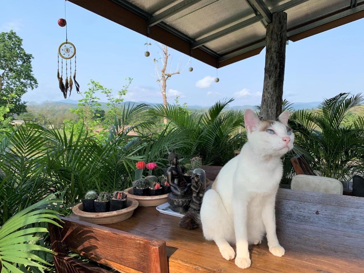 True Nature Chiang Mai - Yoga & Meditation Homestay Retreat Eksteriør billede
