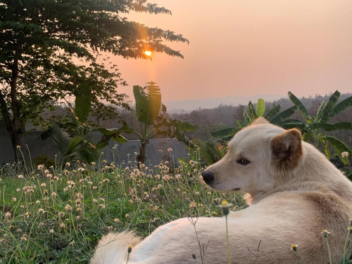 True Nature Chiang Mai - Yoga & Meditation Homestay Retreat Eksteriør billede
