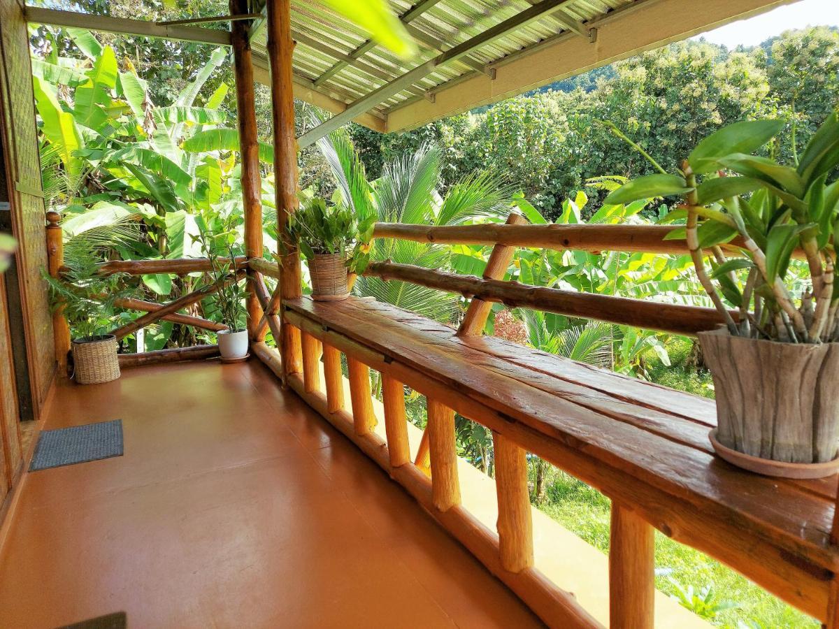 True Nature Chiang Mai - Yoga & Meditation Homestay Retreat Eksteriør billede